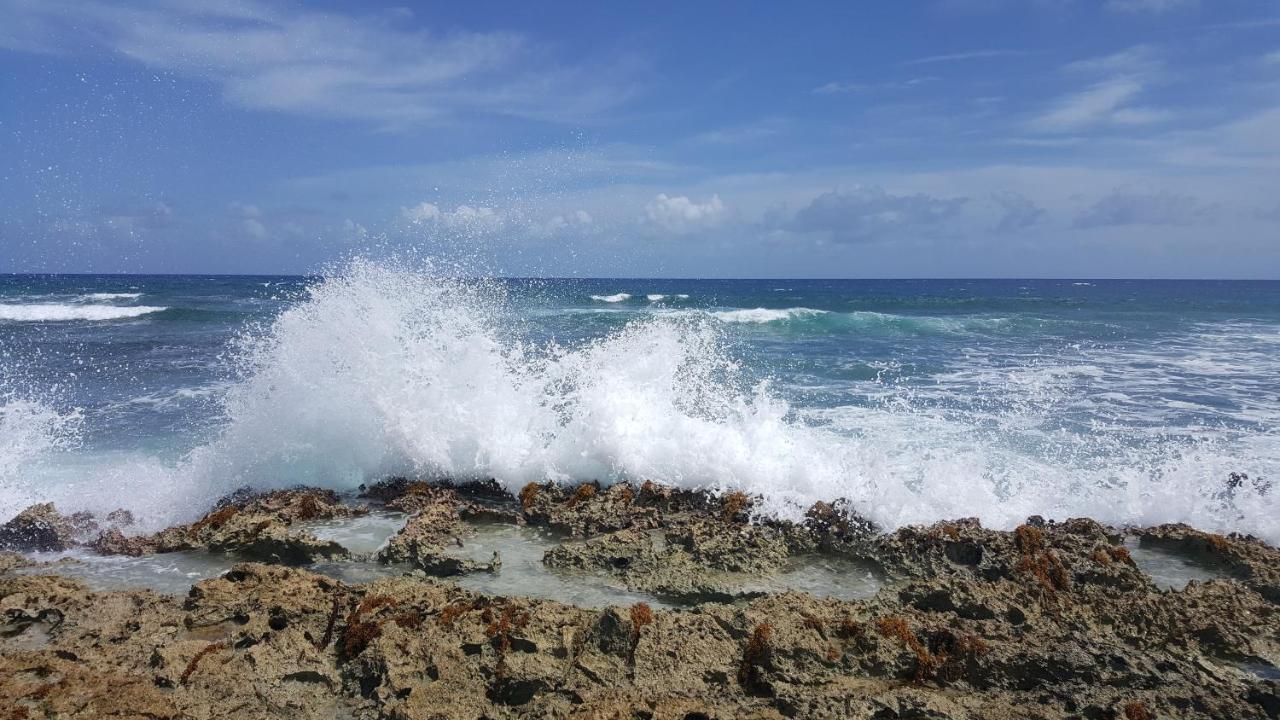 Riviera Maya Luxury Oceanfront Condo Akumal Bagian luar foto