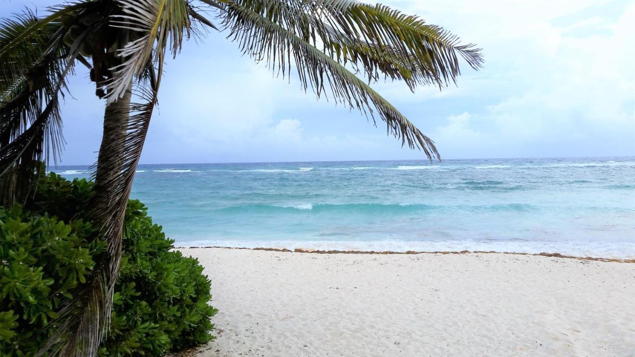 Riviera Maya Luxury Oceanfront Condo Akumal Bagian luar foto